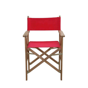 Anderson Teak Director Folding Armchair w/ Canvas