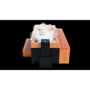 Medical Frozen 9 Cold Plunge