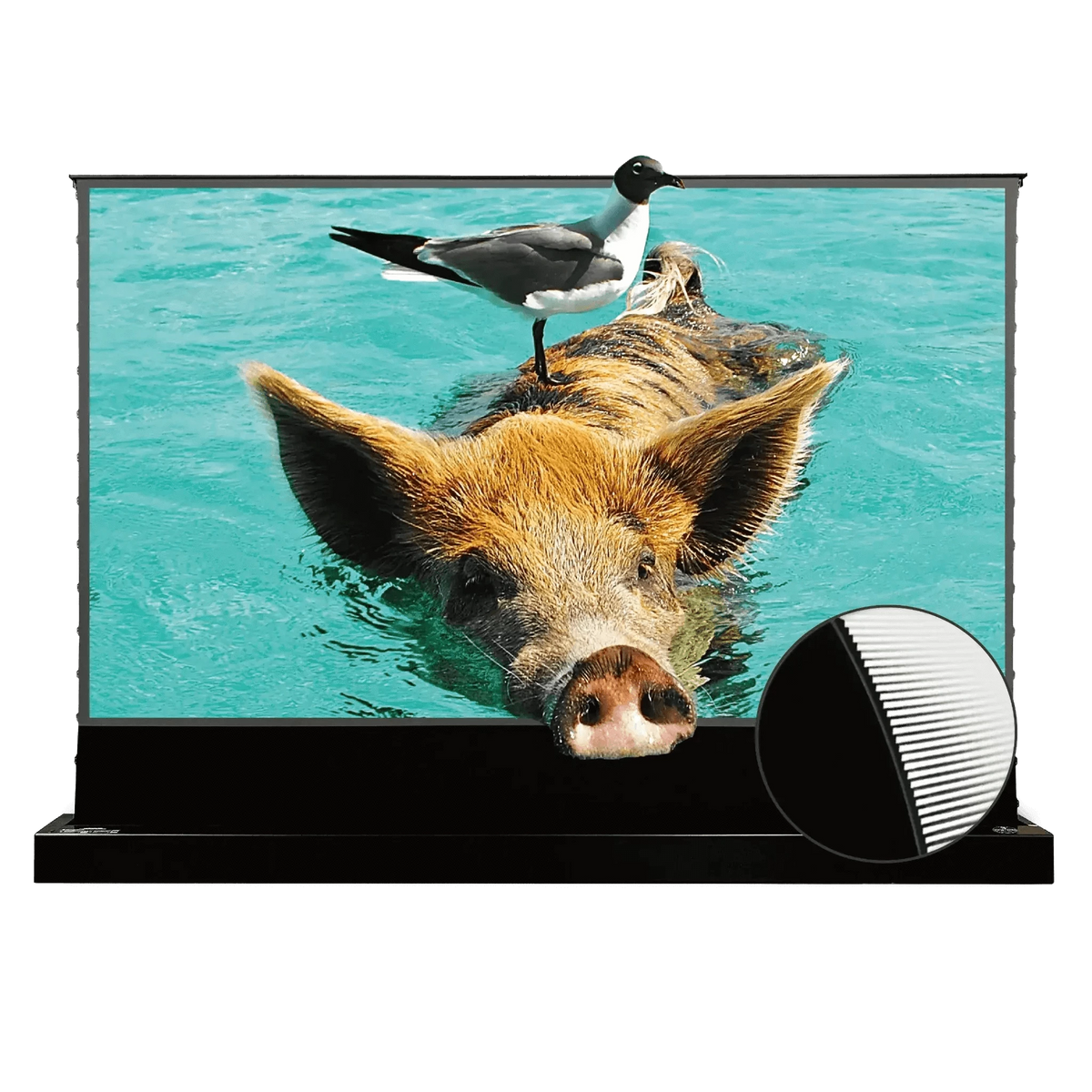 VIVIDSTORM S PRO Motorized Tension Floor Rising UST ALR Projector Screen