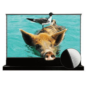 VIVIDSTORM S PRO Motorized Tension Floor Rising UST ALR Projector Screen