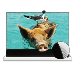 VIVIDSTORM S PRO Motorized Tension Floor Rising UST ALR Projector Screen