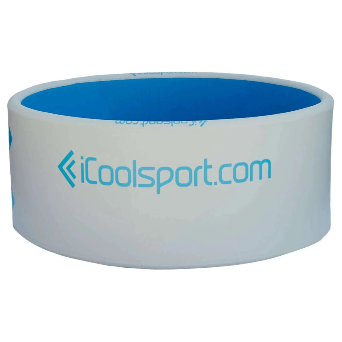 iCoolsport IceTeam