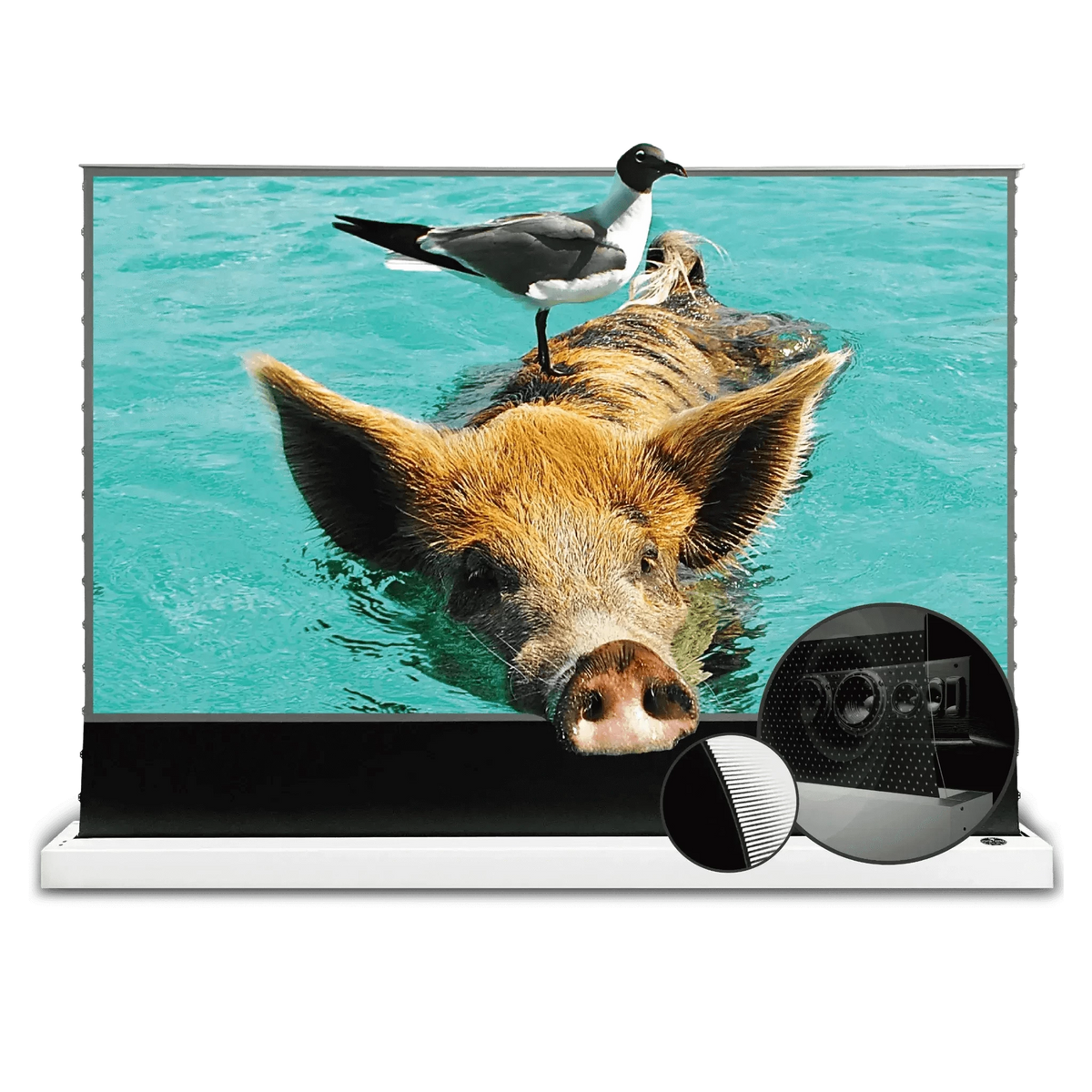 VIVIDSTORM S PRO P Motorized Tension Floor Rising UST ALR Perforated Projector Screen