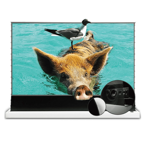 VIVIDSTORM S PRO P Motorized Tension Floor Rising UST ALR Perforated Projector Screen