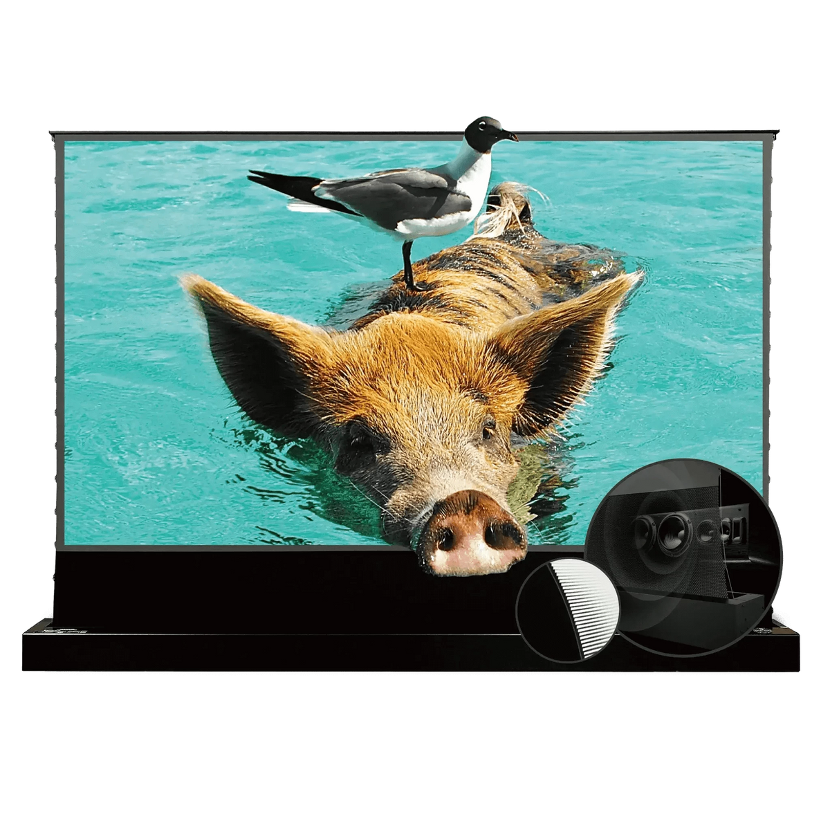 VIVIDSTORM S PRO P Motorized Tension Floor Rising UST ALR Perforated Projector Screen