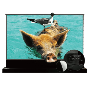 VIVIDSTORM S PRO P Motorized Tension Floor Rising UST ALR Perforated Projector Screen