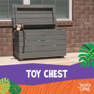 Jack and June Toy Chest-