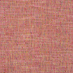 LF - Friendly Carnival