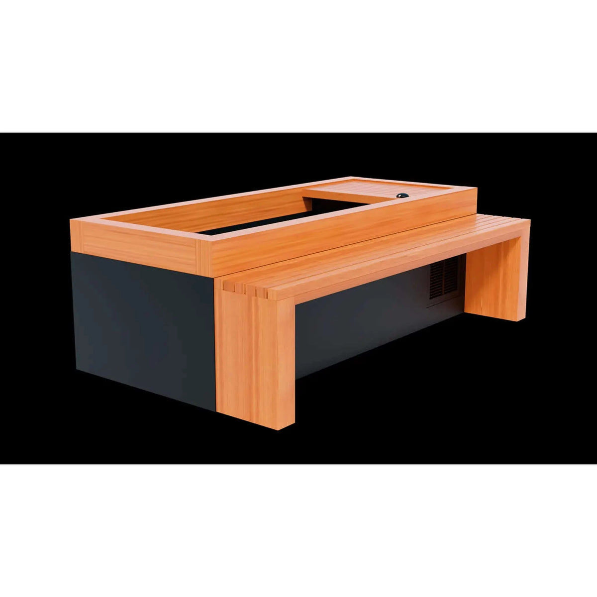 Medical Frozen 2 Cold Plunge