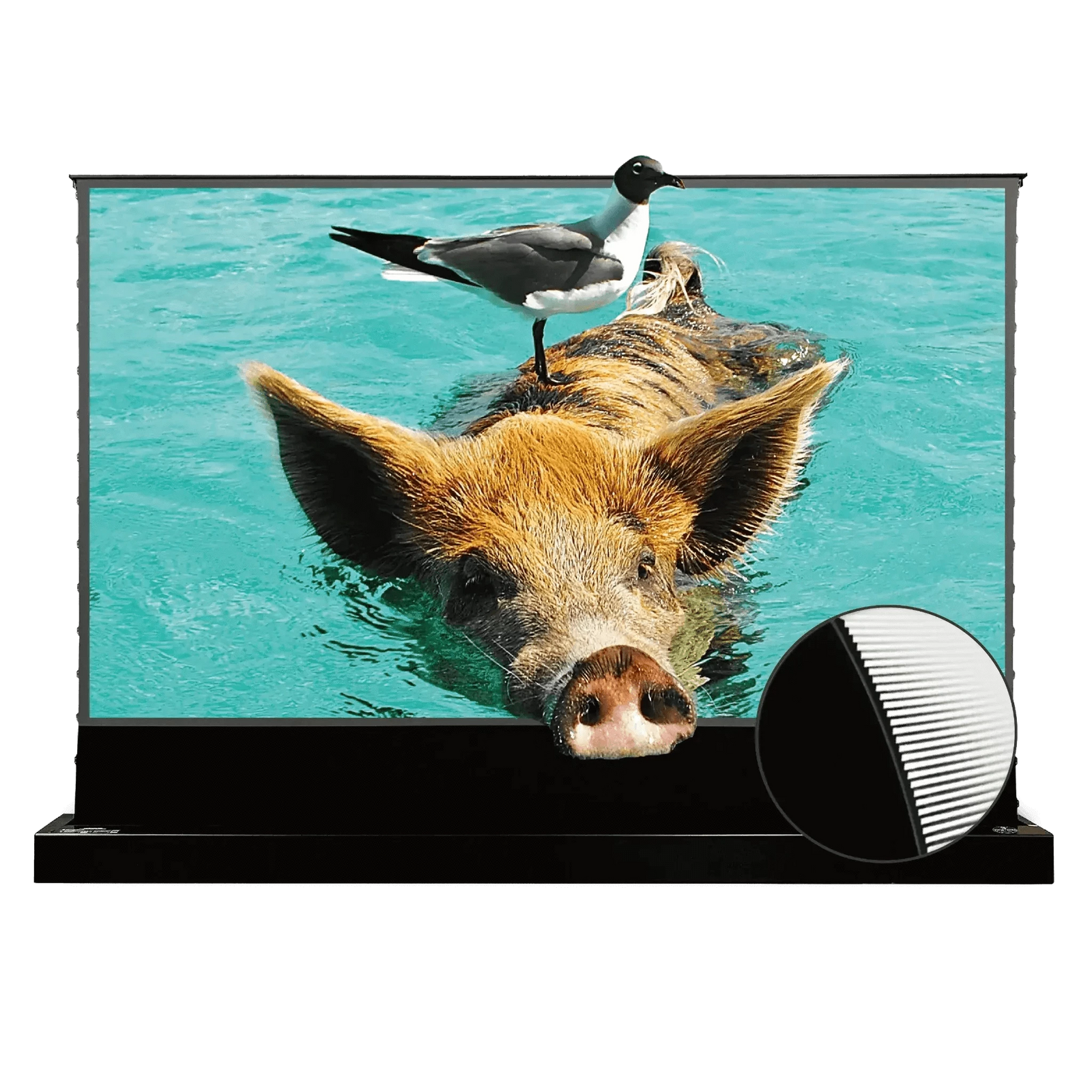 VIVIDSTORM S PRO Motorized Tension Floor Rising UST ALR Projector Screen