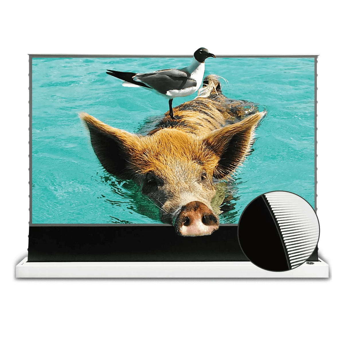 VIVIDSTORM S PRO Motorized Tension Floor Rising UST ALR Projector Screen