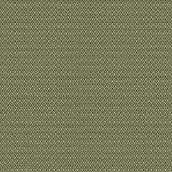 LF - Reflections Grass