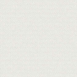 LF - Reflections Snow