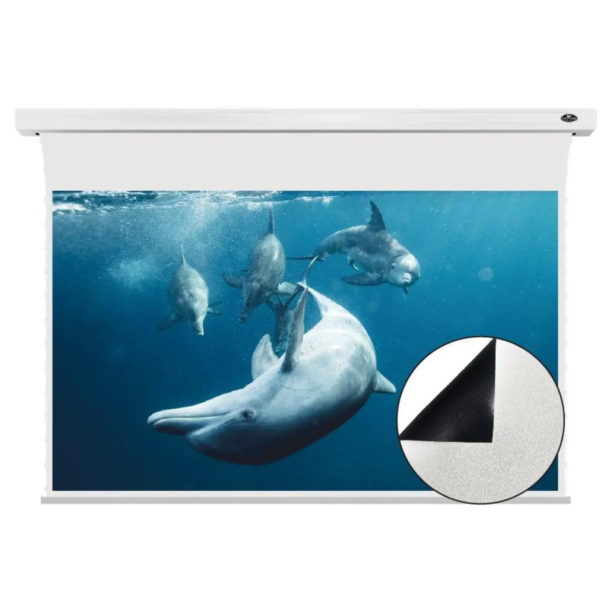 VIVIDSTORM White Cinema Slimline Motorized Tension Projector Screen