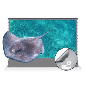 VIVIDSTORM S 3D ALR Motorized Tension Floor Rising 3D Obsidian Long Throw ALR Projector Screen