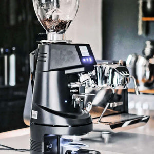 Fiorenzato F64 Evo Pro Espresso Coffee Grinder-