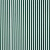Safari green/white stripe (B)